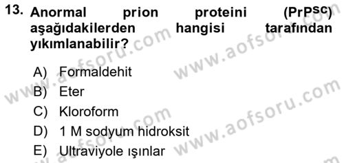 Viroloji Dersi 2023 - 2024 Yılı Yaz Okulu Sınav Soruları 13. Soru