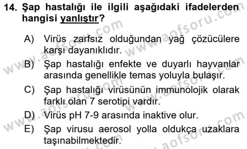 Viroloji Dersi 2023 - 2024 Yılı Yaz Okulu Sınav Soruları 14. Soru