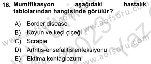 Viroloji Dersi 2023 - 2024 Yılı Yaz Okulu Sınav Soruları 16. Soru