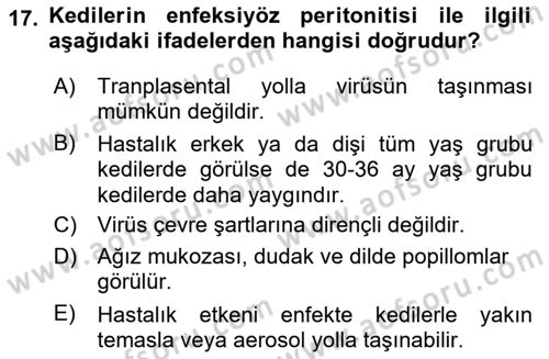 Viroloji Dersi 2023 - 2024 Yılı Yaz Okulu Sınav Soruları 17. Soru