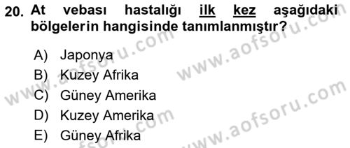 Viroloji Dersi 2023 - 2024 Yılı Yaz Okulu Sınav Soruları 20. Soru
