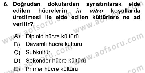 Viroloji Dersi 2023 - 2024 Yılı Yaz Okulu Sınav Soruları 6. Soru