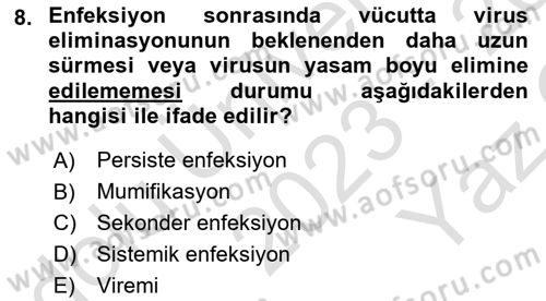 Viroloji Dersi 2023 - 2024 Yılı Yaz Okulu Sınav Soruları 8. Soru