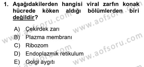 Viroloji Dersi 2024 - 2025 Yılı (Vize) Ara Sınavı 1. Soru