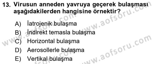 Viroloji Dersi 2024 - 2025 Yılı (Vize) Ara Sınavı 13. Soru