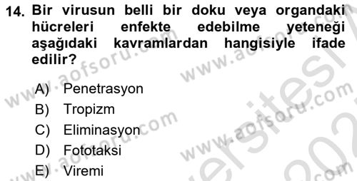 Viroloji Dersi 2024 - 2025 Yılı (Vize) Ara Sınavı 14. Soru