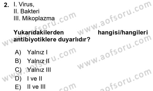 Viroloji Dersi 2024 - 2025 Yılı (Vize) Ara Sınavı 2. Soru