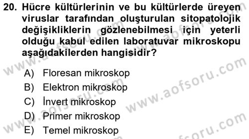 Viroloji Dersi 2024 - 2025 Yılı (Vize) Ara Sınav Soruları 20. Soru