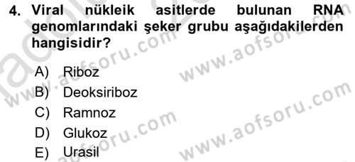 Viroloji Dersi 2024 - 2025 Yılı (Vize) Ara Sınav Soruları 4. Soru