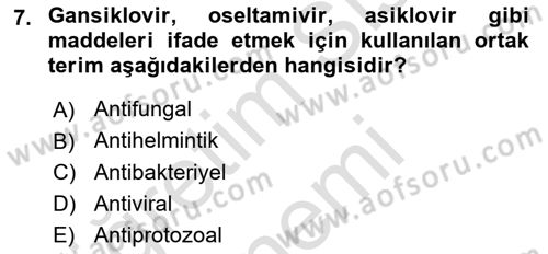 Viroloji Dersi 2024 - 2025 Yılı (Vize) Ara Sınav Soruları 7. Soru