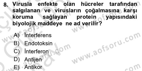 Viroloji Dersi 2024 - 2025 Yılı (Vize) Ara Sınavı 8. Soru