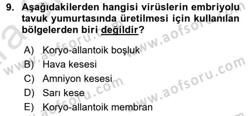 Viroloji Dersi 2024 - 2025 Yılı (Vize) Ara Sınav Soruları 9. Soru