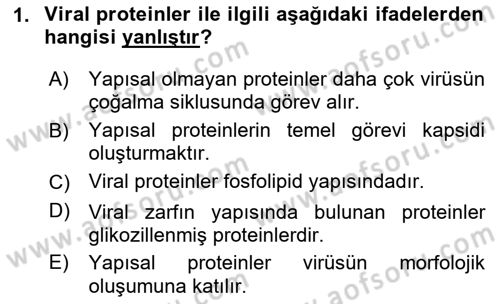 Viroloji Dersi 2024 - 2025 Yılı (Final) Dönem Sonu Sınav Soruları 1. Soru