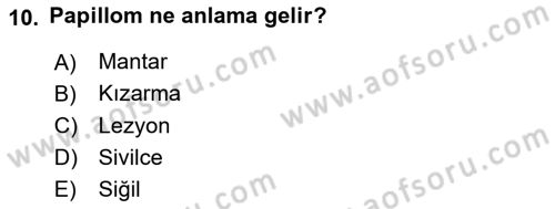Viroloji Dersi 2024 - 2025 Yılı (Final) Dönem Sonu Sınav Soruları 10. Soru