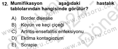 Viroloji Dersi 2024 - 2025 Yılı (Final) Dönem Sonu Sınav Soruları 12. Soru