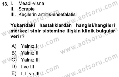 Viroloji Dersi 2024 - 2025 Yılı (Final) Dönem Sonu Sınav Soruları 13. Soru