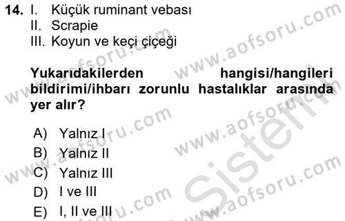 Viroloji Dersi 2024 - 2025 Yılı (Final) Dönem Sonu Sınav Soruları 14. Soru