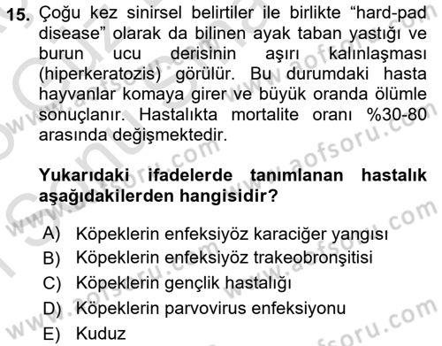 Viroloji Dersi 2024 - 2025 Yılı (Final) Dönem Sonu Sınav Soruları 15. Soru