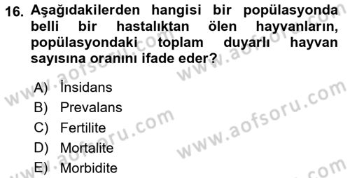 Viroloji Dersi 2024 - 2025 Yılı (Final) Dönem Sonu Sınav Soruları 16. Soru