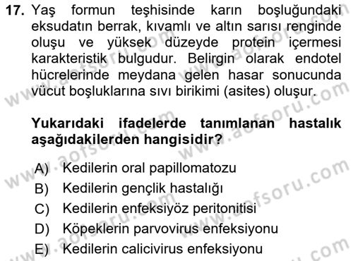 Viroloji Dersi 2024 - 2025 Yılı (Final) Dönem Sonu Sınav Soruları 17. Soru