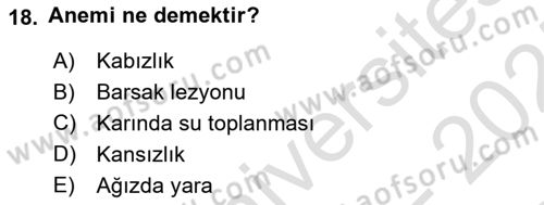 Viroloji Dersi 2024 - 2025 Yılı (Final) Dönem Sonu Sınav Soruları 18. Soru