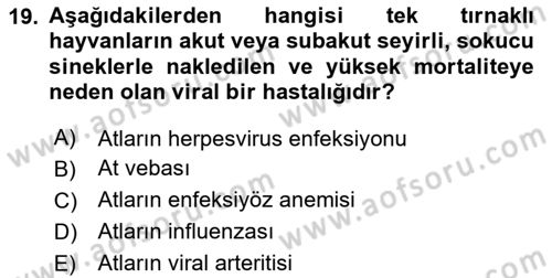 Viroloji Dersi 2024 - 2025 Yılı (Final) Dönem Sonu Sınav Soruları 19. Soru