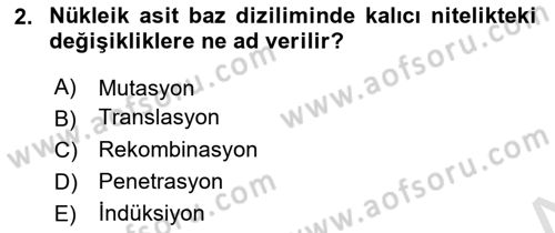 Viroloji Dersi 2024 - 2025 Yılı (Final) Dönem Sonu Sınav Soruları 2. Soru