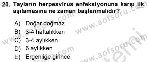 Viroloji Dersi 2024 - 2025 Yılı (Final) Dönem Sonu Sınav Soruları 20. Soru