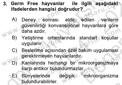Viroloji Dersi 2024 - 2025 Yılı (Final) Dönem Sonu Sınav Soruları 3. Soru