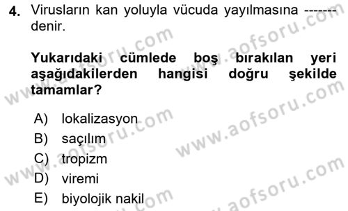Viroloji Dersi 2024 - 2025 Yılı (Final) Dönem Sonu Sınav Soruları 4. Soru