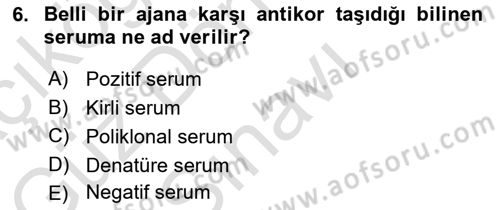 Viroloji Dersi 2024 - 2025 Yılı (Final) Dönem Sonu Sınav Soruları 6. Soru