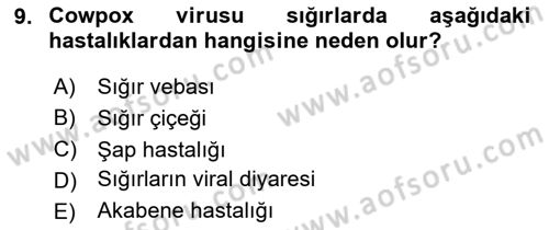 Viroloji Dersi 2024 - 2025 Yılı (Final) Dönem Sonu Sınav Soruları 9. Soru