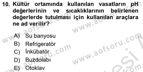 Viroloji Dersi 2024 - 2025 Yılı Yaz Okulu Sınav Soruları 10. Soru