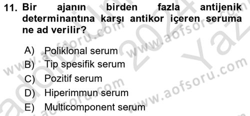 Viroloji Dersi 2024 - 2025 Yılı Yaz Okulu Sınav Soruları 11. Soru