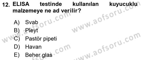 Viroloji Dersi 2024 - 2025 Yılı Yaz Okulu Sınav Soruları 12. Soru