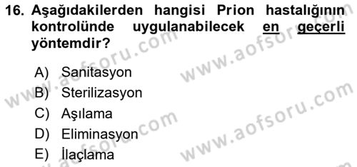Viroloji Dersi 2024 - 2025 Yılı Yaz Okulu Sınav Soruları 16. Soru