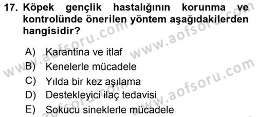 Viroloji Dersi 2024 - 2025 Yılı Yaz Okulu Sınav Soruları 17. Soru