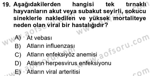 Viroloji Dersi 2024 - 2025 Yılı Yaz Okulu Sınav Soruları 19. Soru