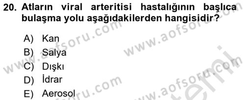 Viroloji Dersi 2024 - 2025 Yılı Yaz Okulu Sınav Soruları 20. Soru