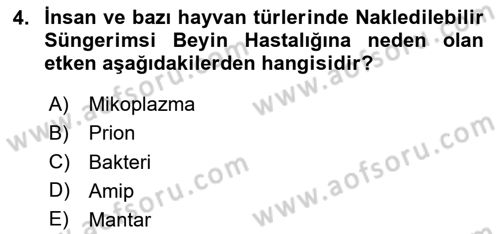 Viroloji Dersi 2024 - 2025 Yılı Yaz Okulu Sınav Soruları 4. Soru