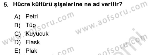 Viroloji Dersi 2024 - 2025 Yılı Yaz Okulu Sınav Soruları 5. Soru