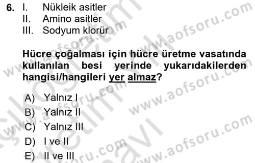 Viroloji Dersi 2024 - 2025 Yılı Yaz Okulu Sınav Soruları 6. Soru