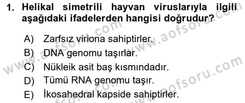 Viroloji Dersi 2025 - 2026 Yılı (Vize) Ara Sınav Soruları 1. Soru