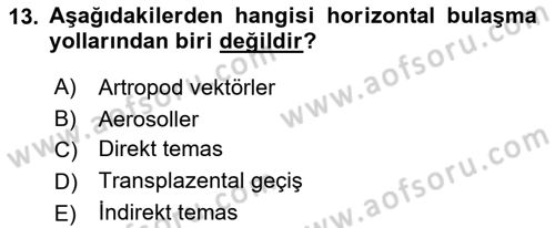 Viroloji Dersi 2025 - 2026 Yılı (Vize) Ara Sınav Soruları 13. Soru