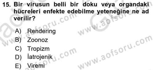 Viroloji Dersi 2025 - 2026 Yılı (Vize) Ara Sınav Soruları 15. Soru