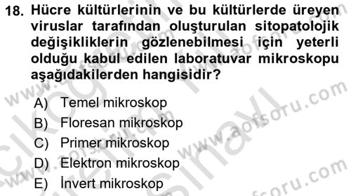 Viroloji Dersi 2025 - 2026 Yılı (Vize) Ara Sınav Soruları 18. Soru