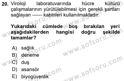 Viroloji Dersi 2025 - 2026 Yılı (Vize) Ara Sınav Soruları 20. Soru