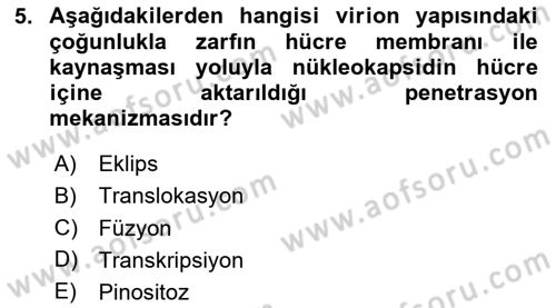 Viroloji Dersi 2025 - 2026 Yılı (Vize) Ara Sınav Soruları 5. Soru