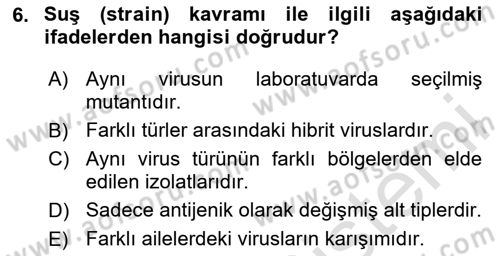 Viroloji Dersi 2025 - 2026 Yılı (Vize) Ara Sınav Soruları 6. Soru
