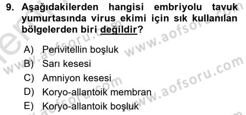Viroloji Dersi 2025 - 2026 Yılı (Vize) Ara Sınav Soruları 9. Soru
